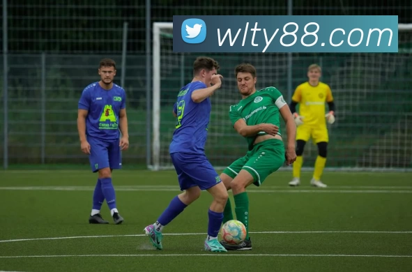 纬来体育直播官网APP 体育赛事宣传图