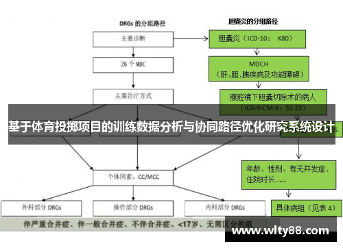 基于体育投掷项目的训练数据分析与协同路径优化研究系统设计